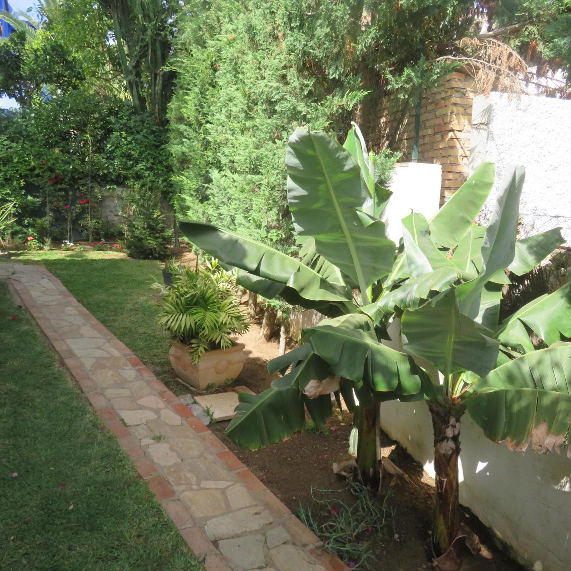 Feriehus Casa Santorini Las Chapas Marbella